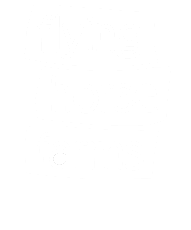 flying horse farms a seriousfun camp